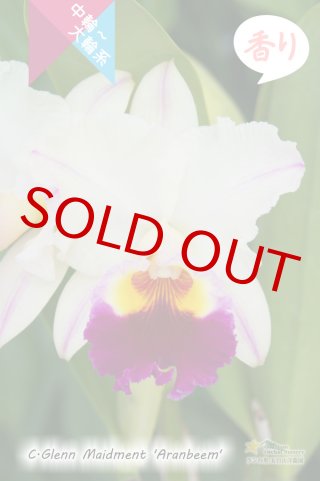 70726f647563742f32303135313033