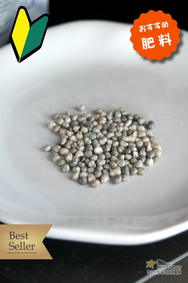 画像3: 【植物と一緒にお求めはこちらから♪】【胡蝶蘭用・プロが使う肥料】オススメ!プロが使うコチョウランの肥料!モルコート100g入り (3)
