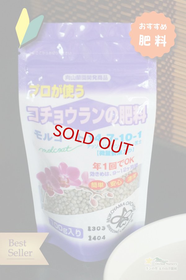 画像1: 【植物と一緒にお求めはこちらから♪】【胡蝶蘭用・プロが使う肥料】オススメ！プロが使うコチョウランの肥料！モルコート１００g入り (1)