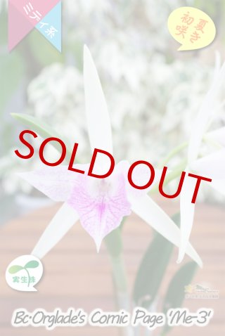 70726f647563742f32303231303630