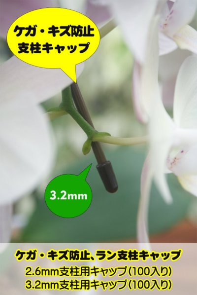 他商品と梱包可能【キズ・ケガを防ぐ支柱キャップ】一度使ったらやめ