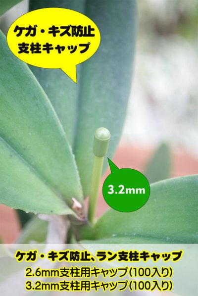 他商品と梱包可能【キズ・ケガを防ぐ支柱キャップ】一度使ったらやめ