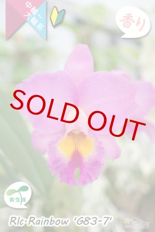 70726f647563742f636174746c6579